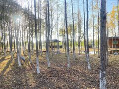 -艾溪湖湿地公园