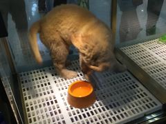 -乐宠宠物店(世纪金源店)