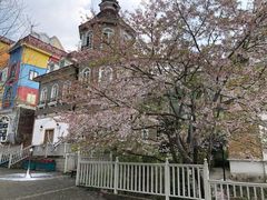 -四川省成都市彭州市白鹿镇
