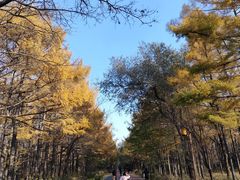 -长春市南湖公园