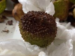 -百果园(深圳市悠山美地店)