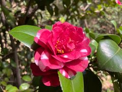 -宝岩生态观光园