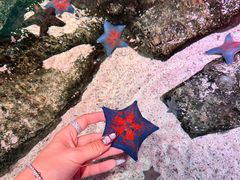 -沈阳海洋探索中心