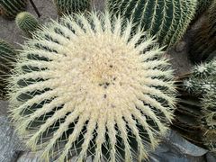 -南山植物园