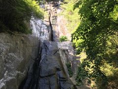 -王顺山国家森林公园