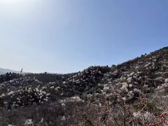 -阳台山自然风景区