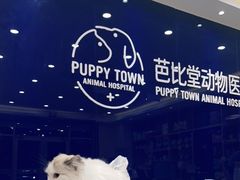 -芭比堂动物医院·24小时·眼科中心(深圳中心)