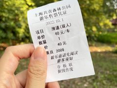 -上海共青森林公园