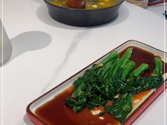 -张猫猫爱吃鱼