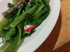 海白菜-大龙燚火锅(南山大道店)