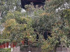 -宝光寺