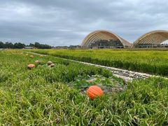 -中国天府农业博览园