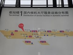 -翡翠拉面小笼包Crystal Jade(上海浦东国际机场T1店)