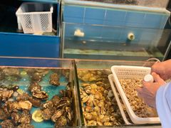 -采粤轩中餐厅(惠州金海湾喜来登度假酒店)