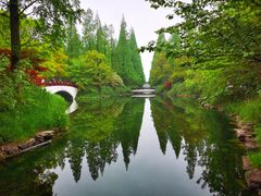 -东平国家森林公园