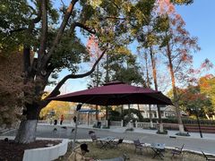 -J Create城市露营咖啡·简餐·宠物(上海动物园店)