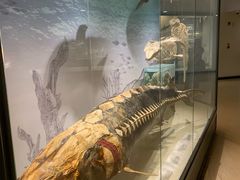 -南通博物苑-崇川人民公园