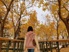 -东郊湿地公园
