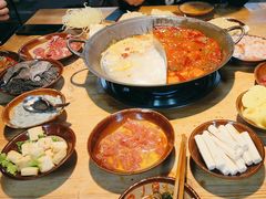 -阳阳老火锅(小南门店)