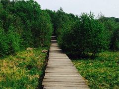 iphone_upload_pic-白草畔自然风景区