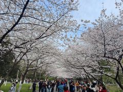 -南京林业大学-图书馆