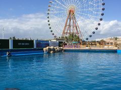 -南海渔家•海鲜•正宗海南菜(海棠湾店)