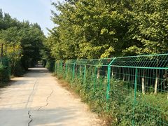 -亲兄弟真人CS团建拓展基地