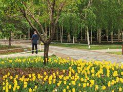 -长春公园(普阳街道)