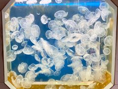 -嘉兴海底世界