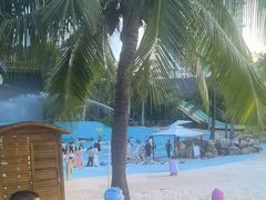 -亚马逊丛林水乐园