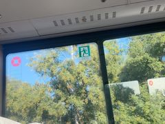 -小天妃海鲜酒楼(西马庄店)