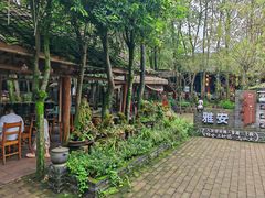 -土砂锅生态山庄·非遗砂锅雅鱼