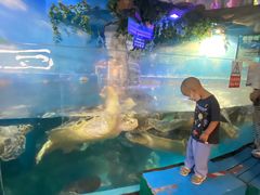 -烟台海昌鲸鲨海洋公园