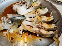 -天鹰观渔(梦园店)