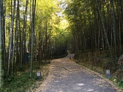-苏州环秀晓筑养生度假村
