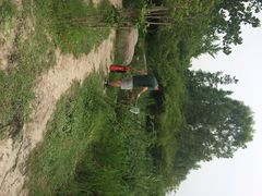 江湾湿地公园-新江湾城公园