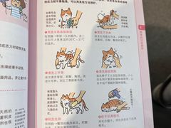 -半岛宠物医院24小时(科华中路店)