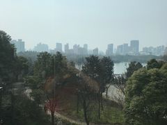 -AdD全日制餐厅(中谷花园酒店)