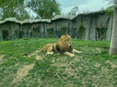 -北京野生动物园