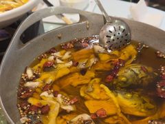 -大鸭梨烤鸭(左家庄店)