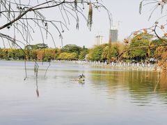 -海珠湖公园