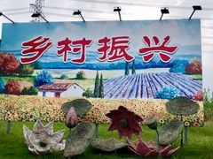 -梁鸿国家湿地公园