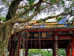 -乌山风景区