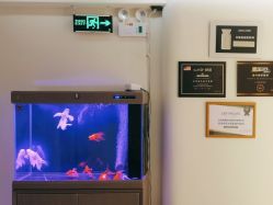 -海涛医疗美容·面部抗衰·注射美鼻