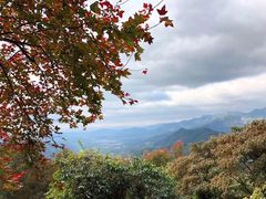-广州市石门国家森林公园