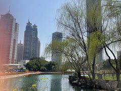 -陆家嘴中心绿地
