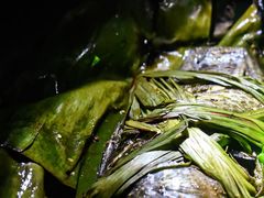 -西双版纳原始森林公园