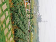 -紫颐香薰山谷景区
