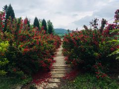 -五女山景区