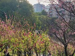 -乌山风景区